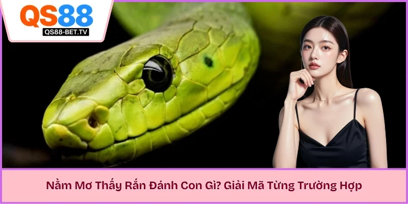 Nằm Mơ Thấy Rắn Đánh Con Gì? Giải Mã Từng Trường Hợp